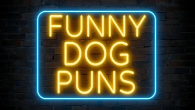 Funny Dog Puns